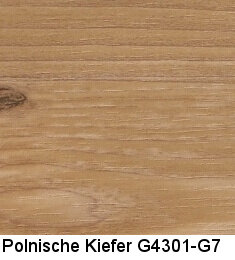 Polnische Kiefer G4301-G7